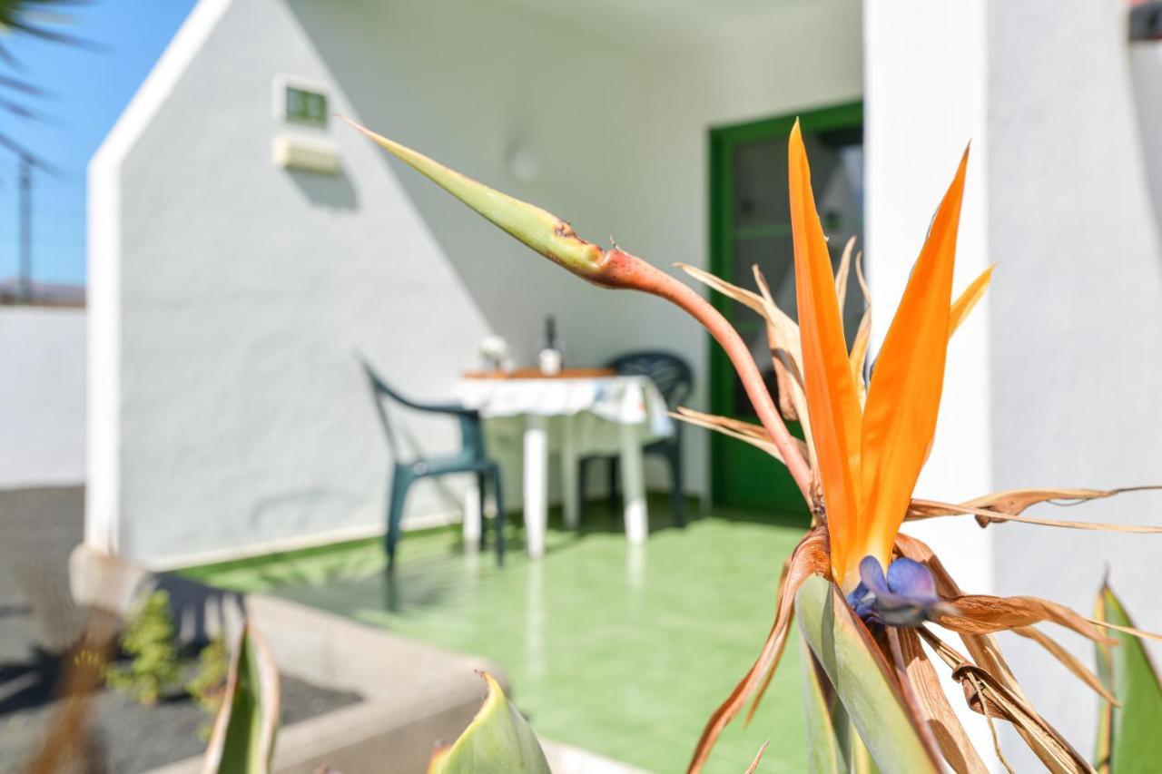 Apartmán Mimosa B1 Puerto del Carmen  Exteriér fotografie